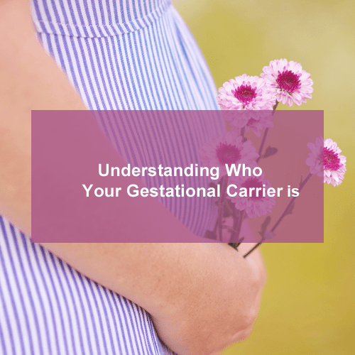 Understanding-who-your-gestational-carrier[1]